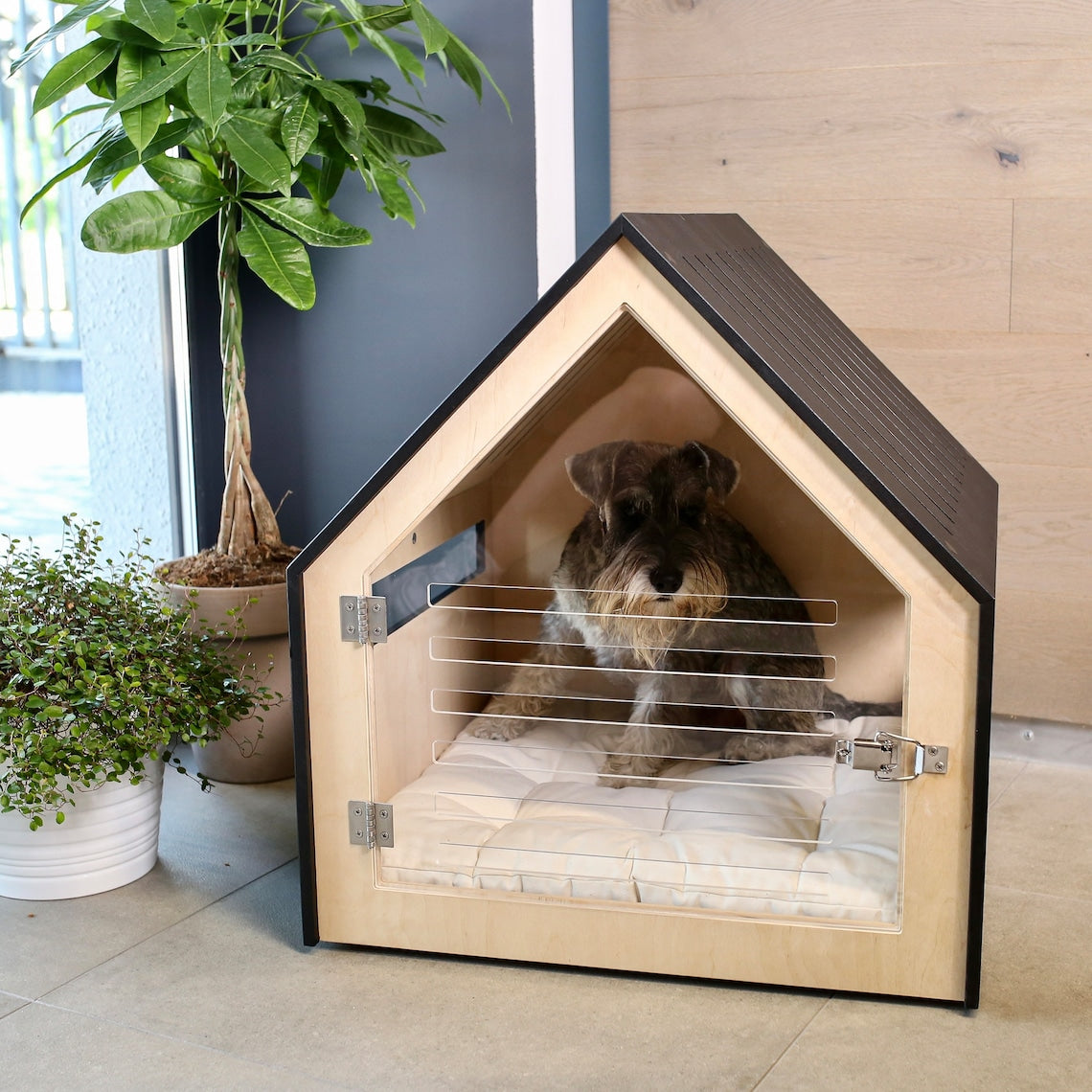 Modern dog and cat house