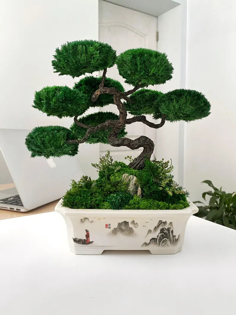 Lucky Moss Bonsai Trees