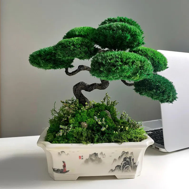 Lucky Moss Bonsai Trees