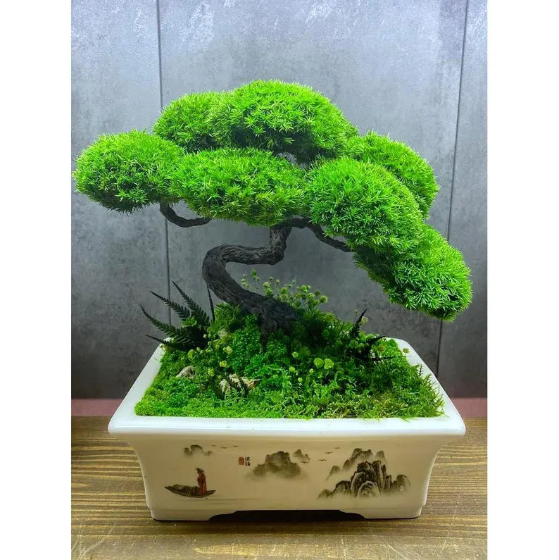 Lucky Moss Bonsai Trees