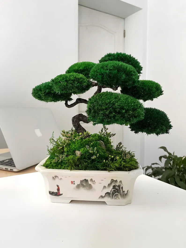 Lucky Moss Bonsai Trees